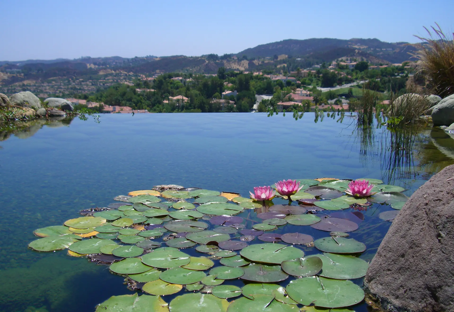 Vastu swimming pool and landscape design enhances serenity