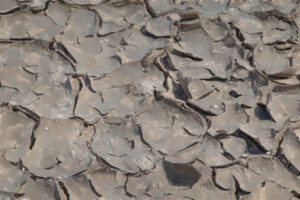 clay soils in drought