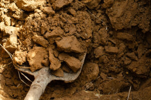 clay soils